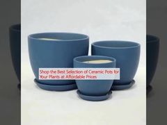আপনার উদ্ভিদের জন্য সাশ্রয়ী মূল্যের মূল্যে সিরামিক পাত্রের সেরা নির্বাচন কিনুন