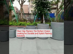ফাইবার ক্লে রোপণকারীরা দীর্ঘস্থায়ী এবং আড়ম্বরপূর্ণ রোপণ সমাধানের জন্য নিখুঁত পছন্দ