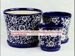 এখানে পাওয়া আমাদের টেকসই এবং আড়ম্বরপূর্ণ সিরামিক পাত্র দিয়ে আপনার বাগানকে কাস্টমাইজ করুন