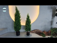 শীর্ষ সরবরাহকারীদের 110 সেন্টিমিটার কৃত্রিম শেফলার গাছ দিয়ে আপনার ব্যবসাকে রূপান্তর করুন