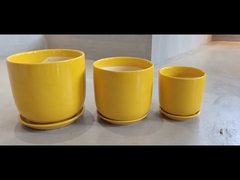 আপনার চাষের জন্য টেকসই এবং সাশ্রয়ী মূল্যের সিরামিক পাত্র বিভিন্ন আকারের উপলব্ধ