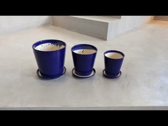 সিরামিক প্ল্যান্টার