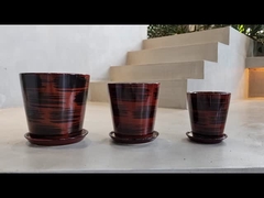 সিরামিক প্ল্যান্টার