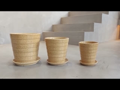 সিরামিক প্ল্যান্টার