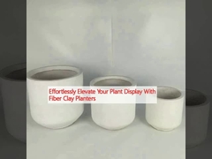 ফাইবার ক্লে প্ল্যান্টার দিয়ে আপনার উদ্ভিদ প্রদর্শনকে সহজেই উন্নত করুন