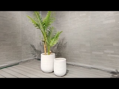 ফাইবার ক্লে প্ল্যান্টার