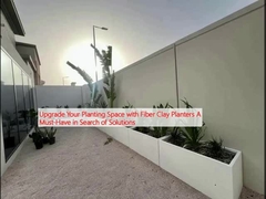 ফাইবার ক্লে প্ল্যান্টার দিয়ে আপনার রোপণের স্থান উন্নত করুন সমাধান খুঁজতে অবশ্যই থাকতে হবে