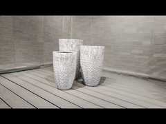 ফাইবার ক্লে প্ল্যান্টার