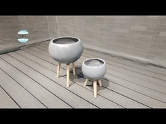 ফাইবার ক্লে প্ল্যান্টার