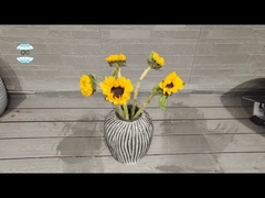 গোলাকার আকৃতির ভিন্টেজ স্টাইল ফাইবার ক্লে প্ল্যান্টার