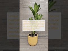 অনন্য হলুদ ফুলের টব: স্বতন্ত্র মধু তরমুজের খোসার নকশা, গোলাকার ফাইবার ক্লে প্ল্যান্টার, হালকা ওজনের, টেকসই, কম রক্ষণাবেক্ষণ, হলিডে ভিলা, অফিস সজ্জা, রুফটপ গার্ডেন, ল্যান্ডস্কেপিং প্রকল্প