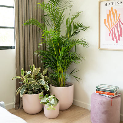 ফাইবারগ্লাস ফুলের পাত্র হালকা ওজন GRP প্ল্যান্টার বক্স আউটডোর ইনডোর সজ্জা জন্য