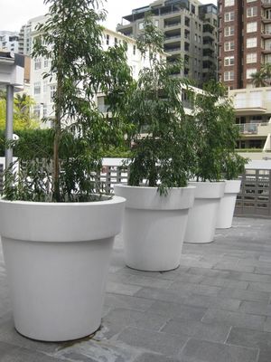 নাম