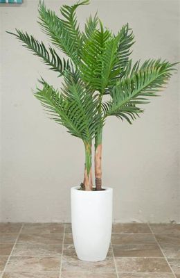 নাম