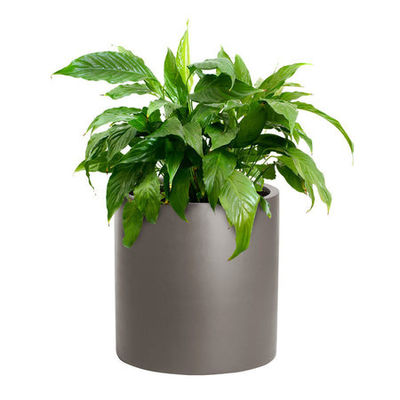 নাম