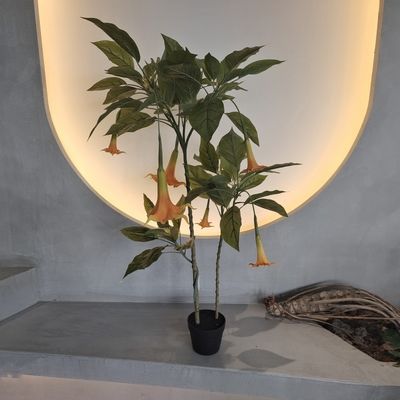 নাম
