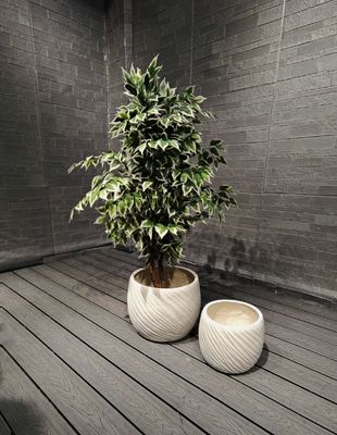 নাম