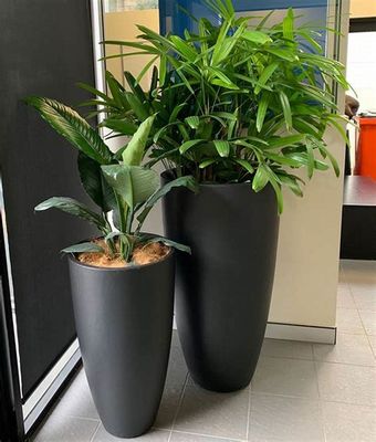 নাম
