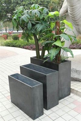 নাম