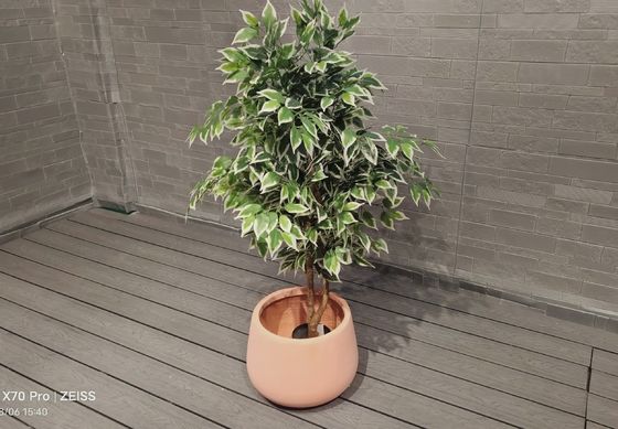 নাম