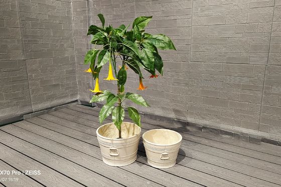 নাম